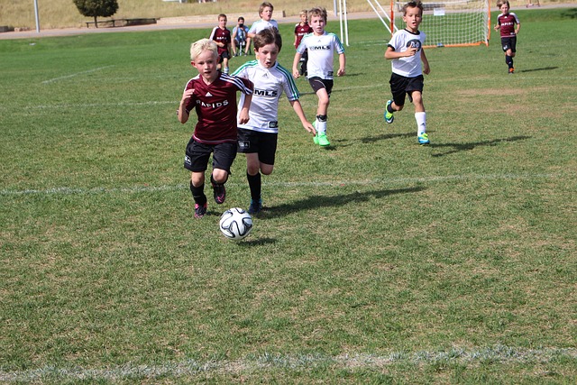 多得的选择 多得的选择