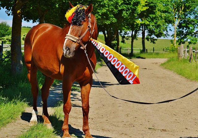 但隨著整體 但隨著整體