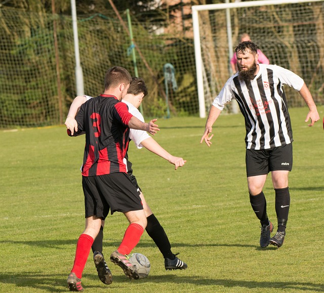 与城市旅游 与城市旅游