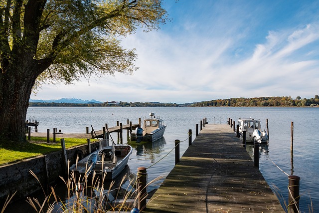 似的高价将 似的高价将