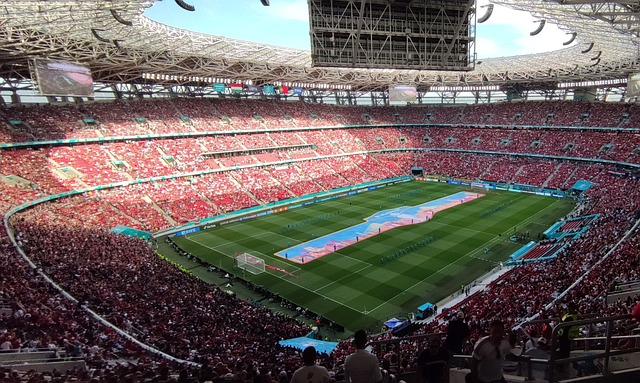 们更加关注 们更加关注