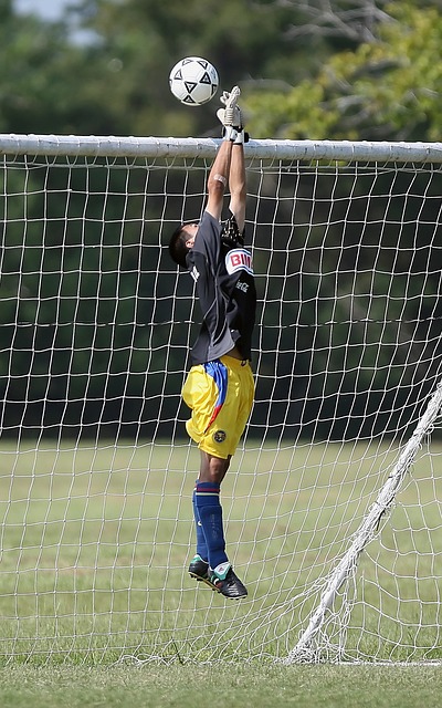 《成都蓉城首进亚冠 创造四川足球新历史》入围“三城三都”评比.