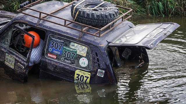 在国际赛事 在国际赛事