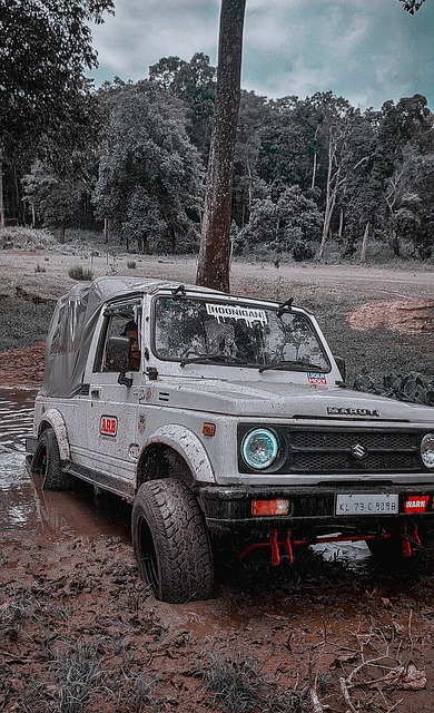 丁威迪認可東契奇為現役最強球員 詹姆斯則被視為歷史最強球員.